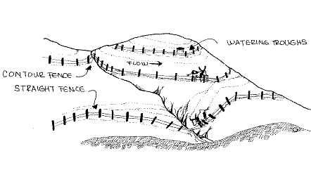 Permaculture Info & Resources