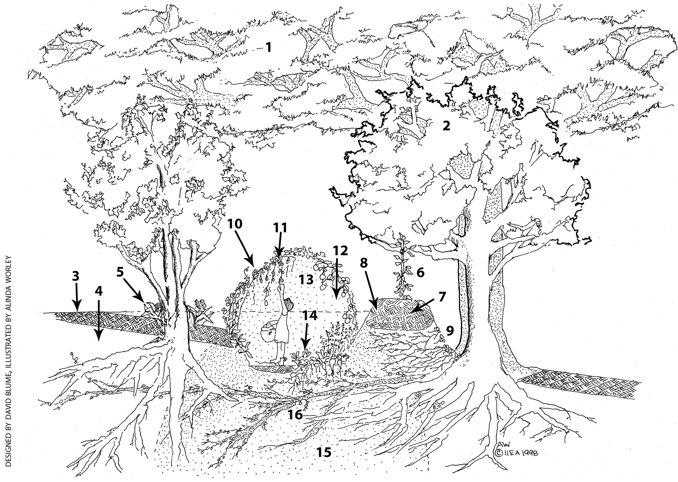 The Permaculture Solution to Fossil Fuel Dependency