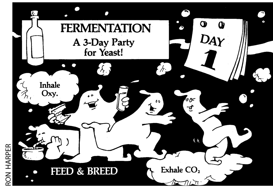 The Process and Benefits of Double Fermentation